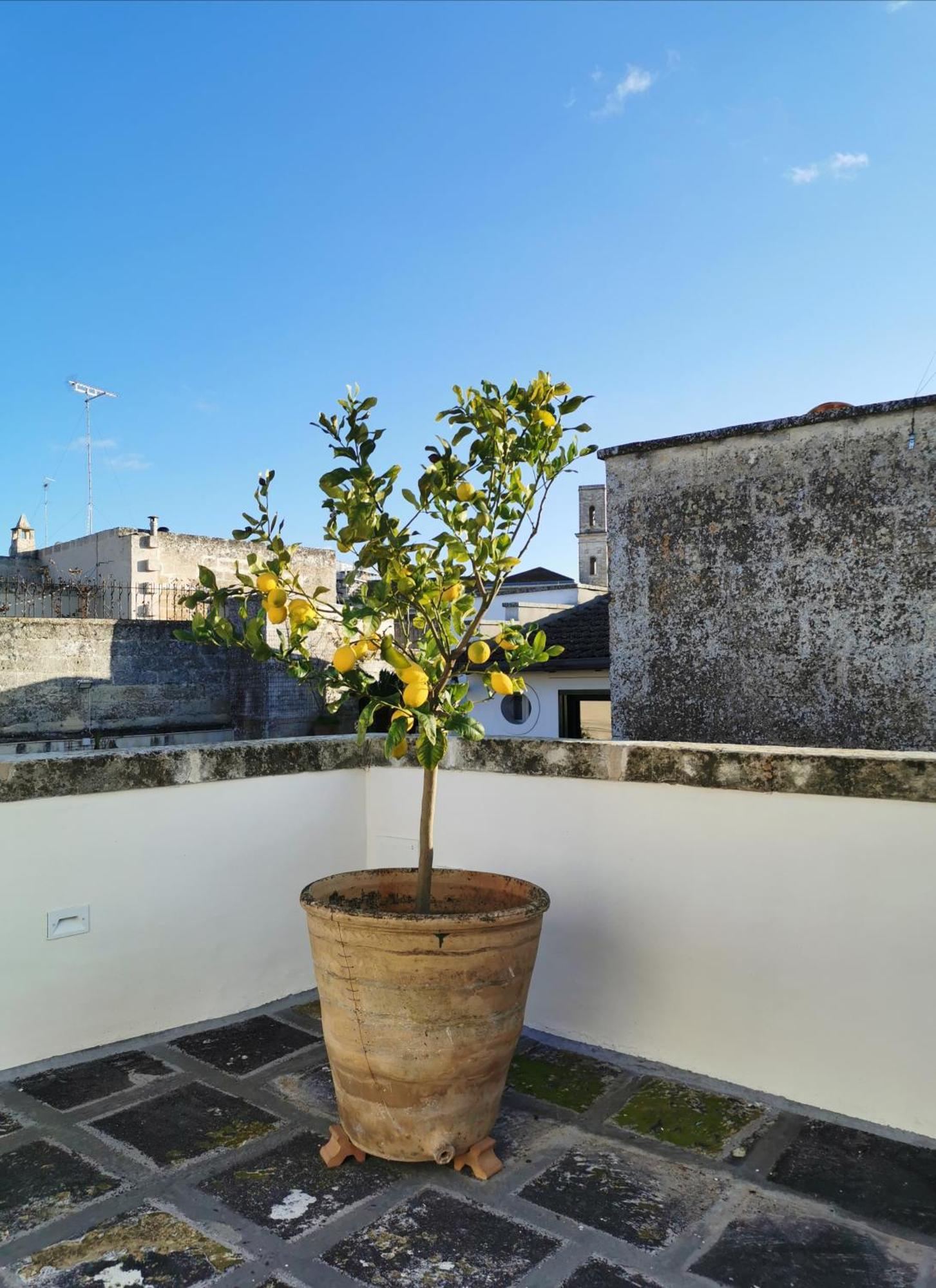 Coniger 4 Casa Vacanze In Centro Lecce Con Wi-Fi E Smart Tv ภายนอก รูปภาพ